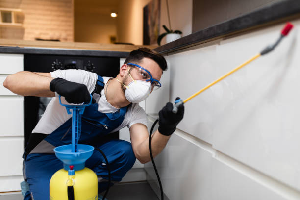 Pest Control Cost in Queen Creek, AZ