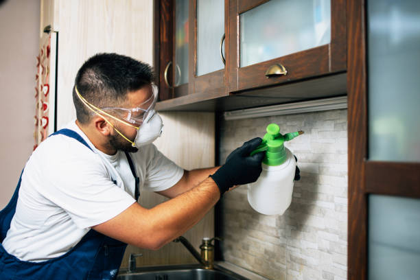 Best Pest Removal Services  in Queen Creek, AZ