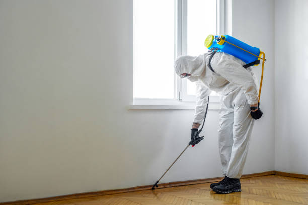 Best Pest Prevention Services  in Queen Creek, AZ