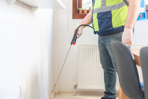 Best Best Pest Control Companies  in Queen Creek, AZ