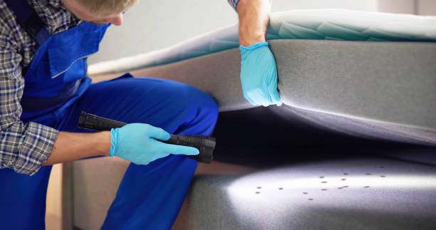 Professional Pest Control in Queen Creek, AZ