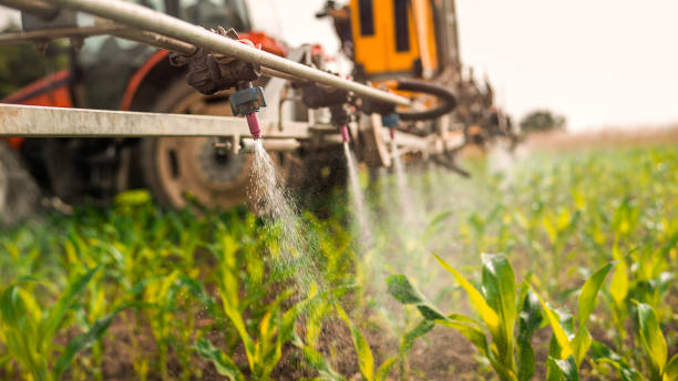 Best Mosquito Control Services  in Queen Creek, AZ